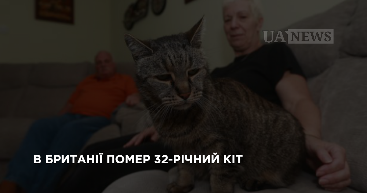 В Британии умер 32-летний кот