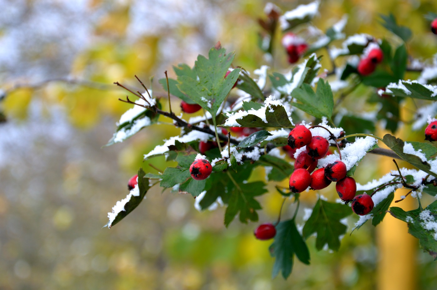 Синоптики попередили про стрімке похолодання у деяких регіонах