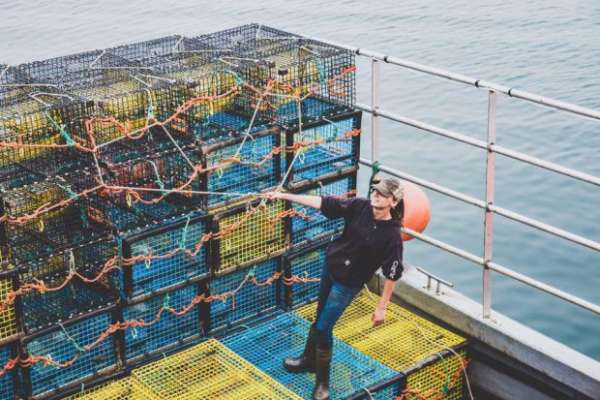 Фото: рыбаки выловили лобстера с логотипом Pepsi