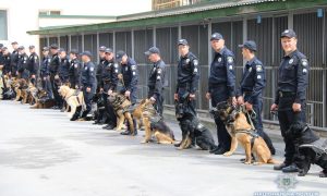 В Киеве сообщили о заминировании ряда объектов