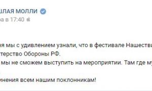 Группа «Пошлая Молли» будет бойкотировать фестиваль в России