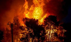 Фото: тысячи людей эвакуировали из-за лесных пожаров на юге Франции