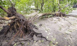 Фото: стихия в Киеве заблокировала работу транспорта и нанесла немало ущерба