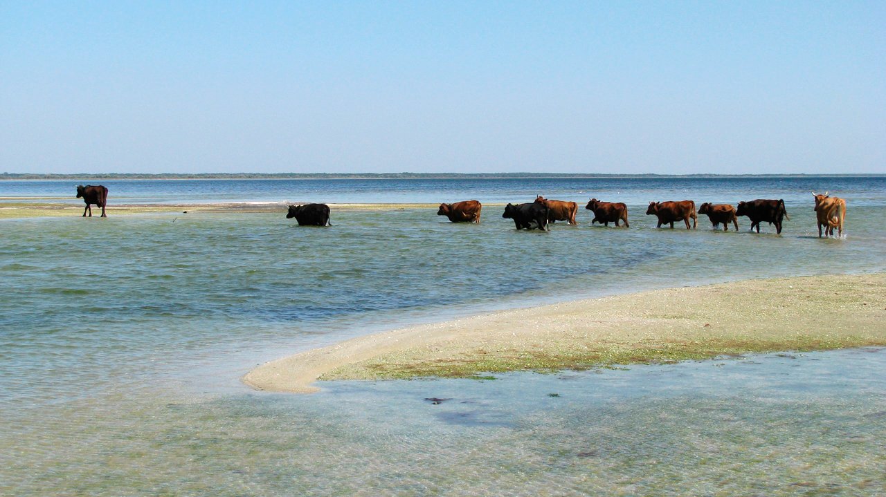 Фото: подборка самых живописных пляжей Украины