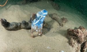 В Португалии нашли судно со специями, которому более 400 лет