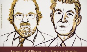 Стали известны лауреаты Нобелевской премиии по физиологии или медицине