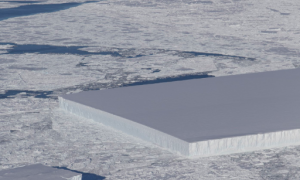 Фото: NASA обнаружило айсберг совершенной формы