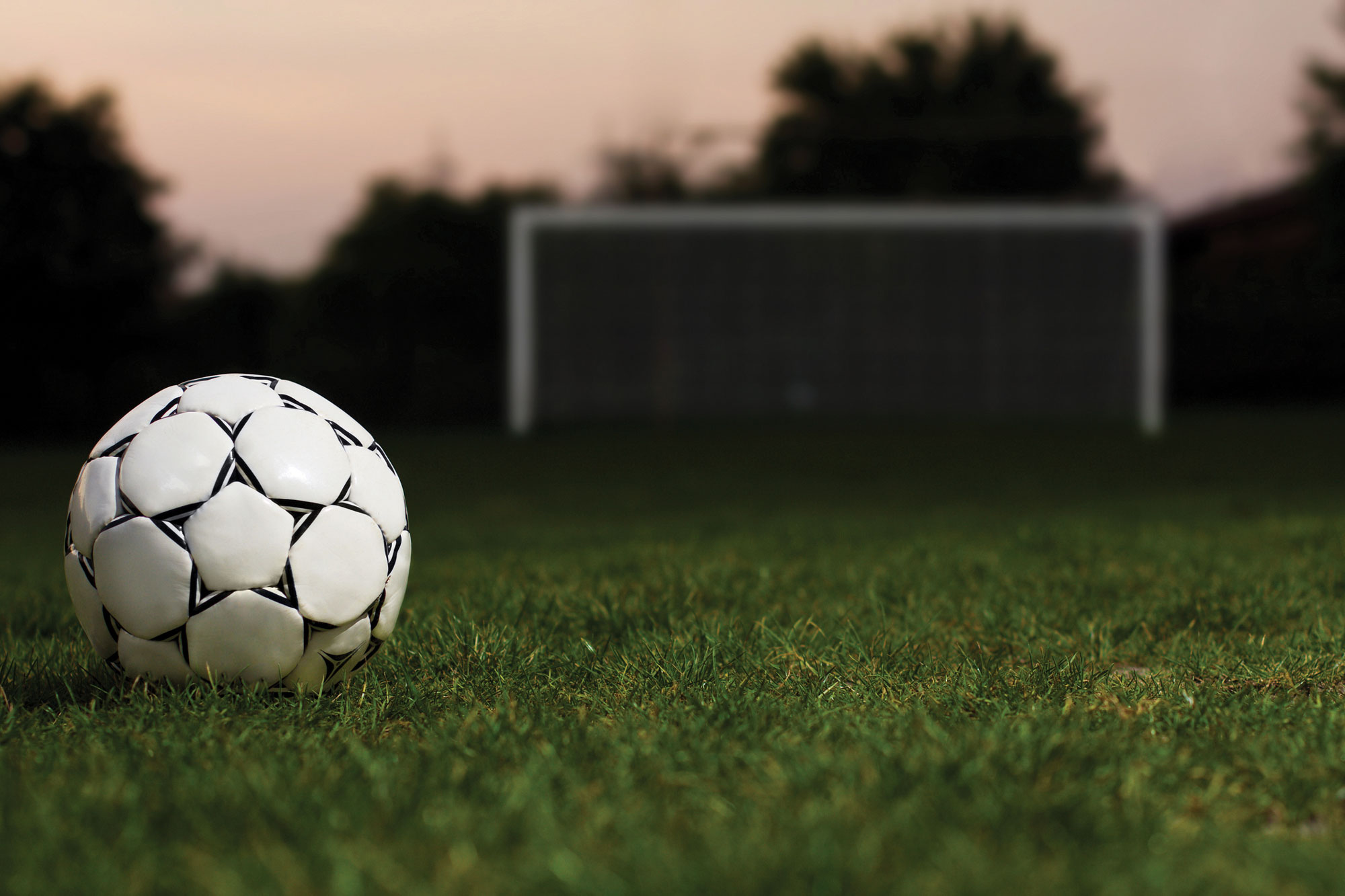 Тренер противника Украины в Лиге Наций уволился из-за пьянства игроков