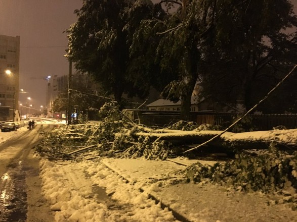 Фото: на Францию обрушился сильный снегопад