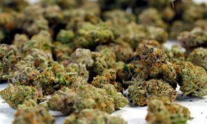 В трех американских штатах одобрили легализацию марихуаны