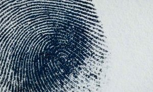 Нейросеть научилась подделывать отпечатки пальцев