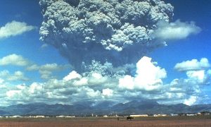 В Британии определили худший год человечества