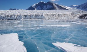 Ученые бьют тревогу: Антарктида становится похожей на Гренландию 