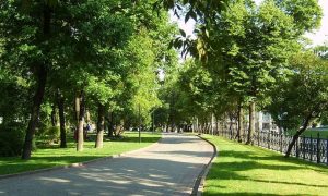 В Киеве обустроят 16 новых скверов и два парка