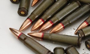 Массовое убийство в Житомирской области: убийце грозит до 15 лет лишения свободы или пожизненное заключение