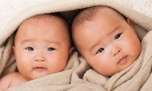 В Китае «создали» первых ГМО-близнецов