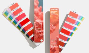 Фото: Pantone назвал основной цвет наступающего Нового 2019 года