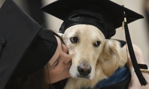 Фото: в США пес-поводырь получил диплом магистра вместе со своей хозяйкой