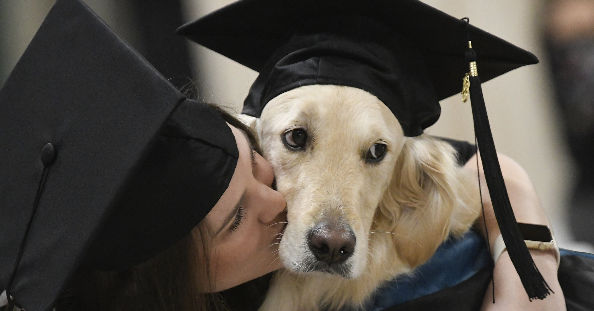 Фото: в США пес-поводырь получил диплом магистра вместе со своей хозяйкой