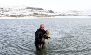 Видео: в Турции офицер полиции забрал домой спасенного щенка
