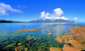 Ученые открыли более сотни новых глубоководных видов