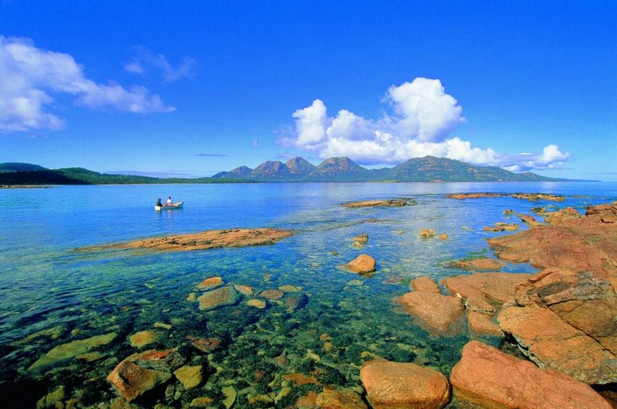 Вчені відкрили понад сотні нових глибоководних видів