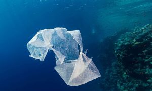 Ученые нашли пластик в самой глубокой точке океана