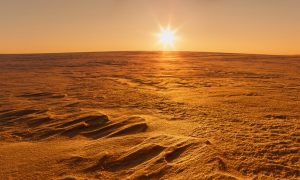 Первый колонист на Марсе возможно не будет человеком - Маск