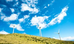 Во Львовской области появится ветряная электростанция