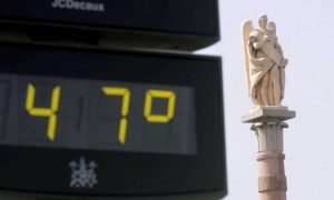 2018 год стал самым жарким за всю историю наблюдений