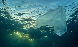 В Раде зарегистрировали законопроект о запрете полиэтиленовых пакетов