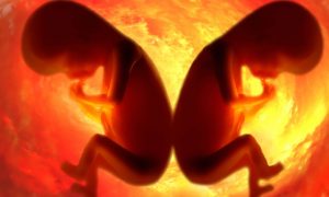 Китай подтвердил рождение генетически модифицированных детей