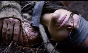 Netflix просит остановить флешмоб в честь «Птичьего короба»