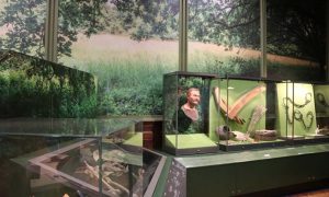 Фото: в Британском музее воссоздали лица древних жителей Европы