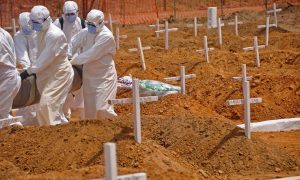 Найден смертельный для человечества вирус, похожий на Эболу