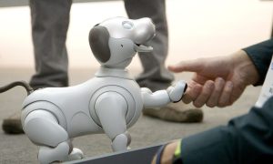 Фото: компания Continental хочет доставлять товары с помощью собак-роботов