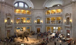 В США из-за «шатдауна» закрыты 20 музеев и зоопарк