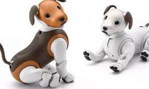Видео: Sony представила еще одну модель робособак Aibo