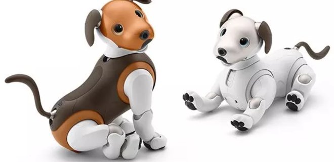 Видео: Sony представила еще одну модель робособак Aibo