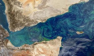 Фото: Мировой океан изменит цвет из-за Глобального потепления