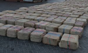 Фото: в порту Кабо-Верде задержано судно, на котором россияне перевозили 9,5 тонн кокаина