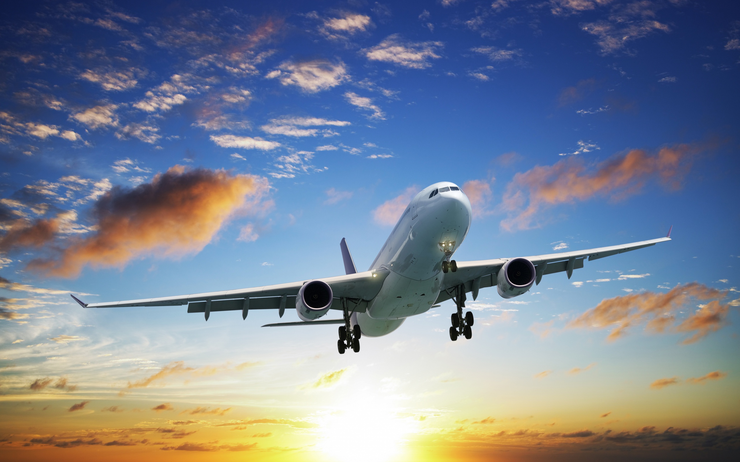 Ryanair та Wizz Air оштрафували на кілька мільйонів євро за обман пасажирів