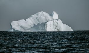 Фото: в Антарктиде вот-вот отколется айсберг размером с два Нью-Йорка
