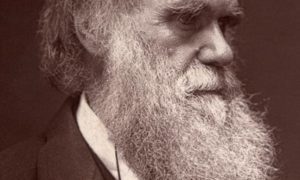 В британской школе после жалоб родителей отменили спектакль о Чарльзе Дарвине