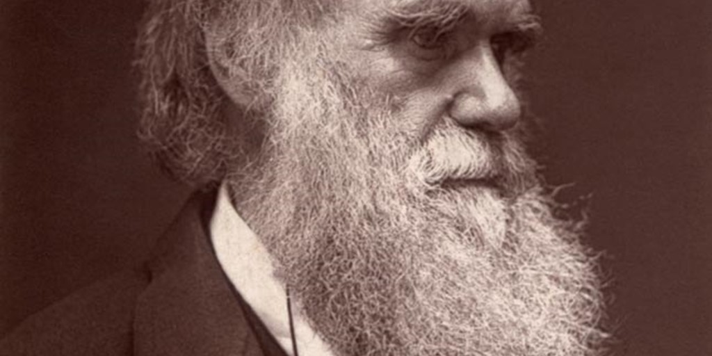 В британской школе после жалоб родителей отменили спектакль о Чарльзе Дарвине