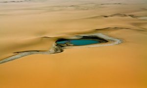 Ученые назвали одно преимущество Глобального потепления