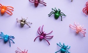 Фото: ученые нашли остатки древних пауков с глазами, которые до сих пор светятся