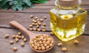 Американский общепит впервые стал использовать генно-редактированные продукты