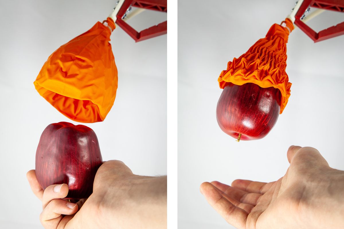 Видео: робот-цветок способен поднять в сто раз больше своего веса