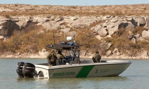 Стена на границе с Мексикой: грандиозному сооружению Трампа угрожают бабочки